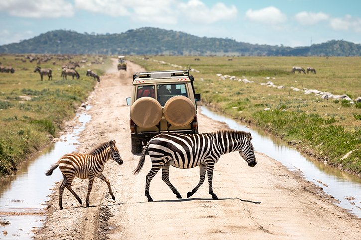 SerengetiNationalParkTanzania